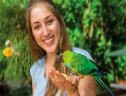 Tickets to Kuranda Koala Gardens, Birdworld Kuranda, & Australian Butterfly Sanctuary